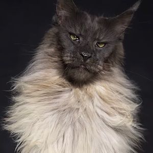 Meet your Posher, Keith